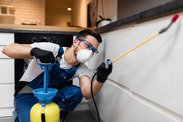 Best Insect Control  in Thomasboro, IL