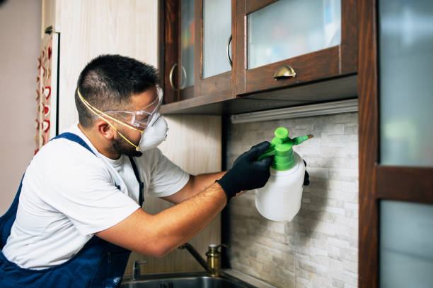 Best Emergency Pest Control  in Thomasboro, IL