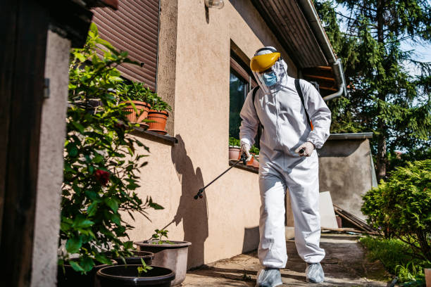 Best Insect Control  in Thomasboro, IL