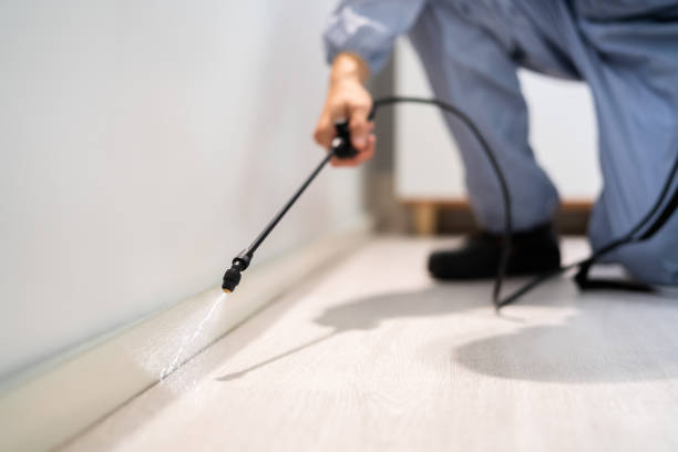 Best Local Pest Control Services  in Thomasboro, IL