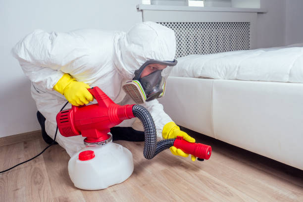 Best Bed Bug Extermination  in Thomasboro, IL