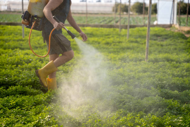 Best Commercial Pest Control Services  in Thomasboro, IL