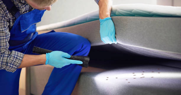 Best Termite Control Services  in Thomasboro, IL