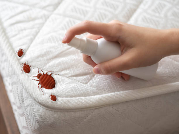 Trusted Thomasboro, IL Pest Control Experts