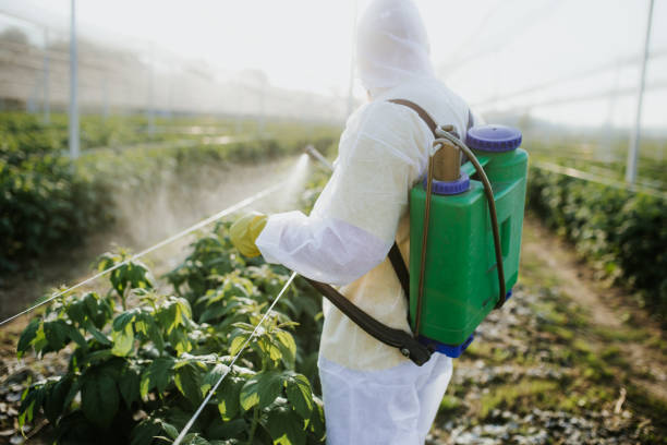 Best Pest Control Near Me  in Thomasboro, IL